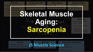 Skeletal Muscle Aging: Sarcopenia - JS Muscle Science
