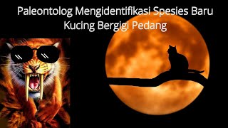 Paleontolog Mengindetifiasi Spesies Baru Kucing Bergigi Pedang