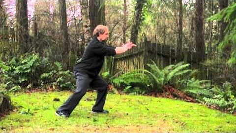 Taiji 5-Section Solo Form Part 2