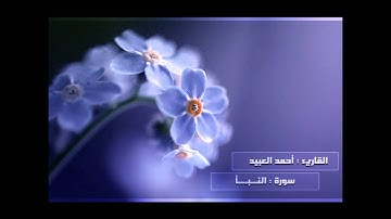سورة النبأ - القارئ أحمد العبيد