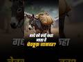 Why Harshvarrdhan Jain Always Uses the “Donkey Example” in His Motivational Stories
