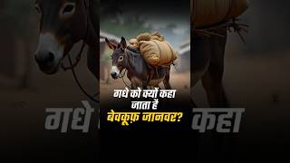Why Harshvarrdhan Jain Always Uses the “Donkey Example” in His Motivational Stories