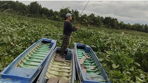 Phát Hiện. điểm câu Cá Rô Đồng.toàn Hugo.1ngày tổ đãi chung rồi.@tranchungcuchi