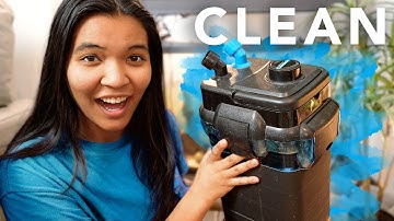 How to Clean a Cascade Canister Filter (turtle tank filter cleaning)