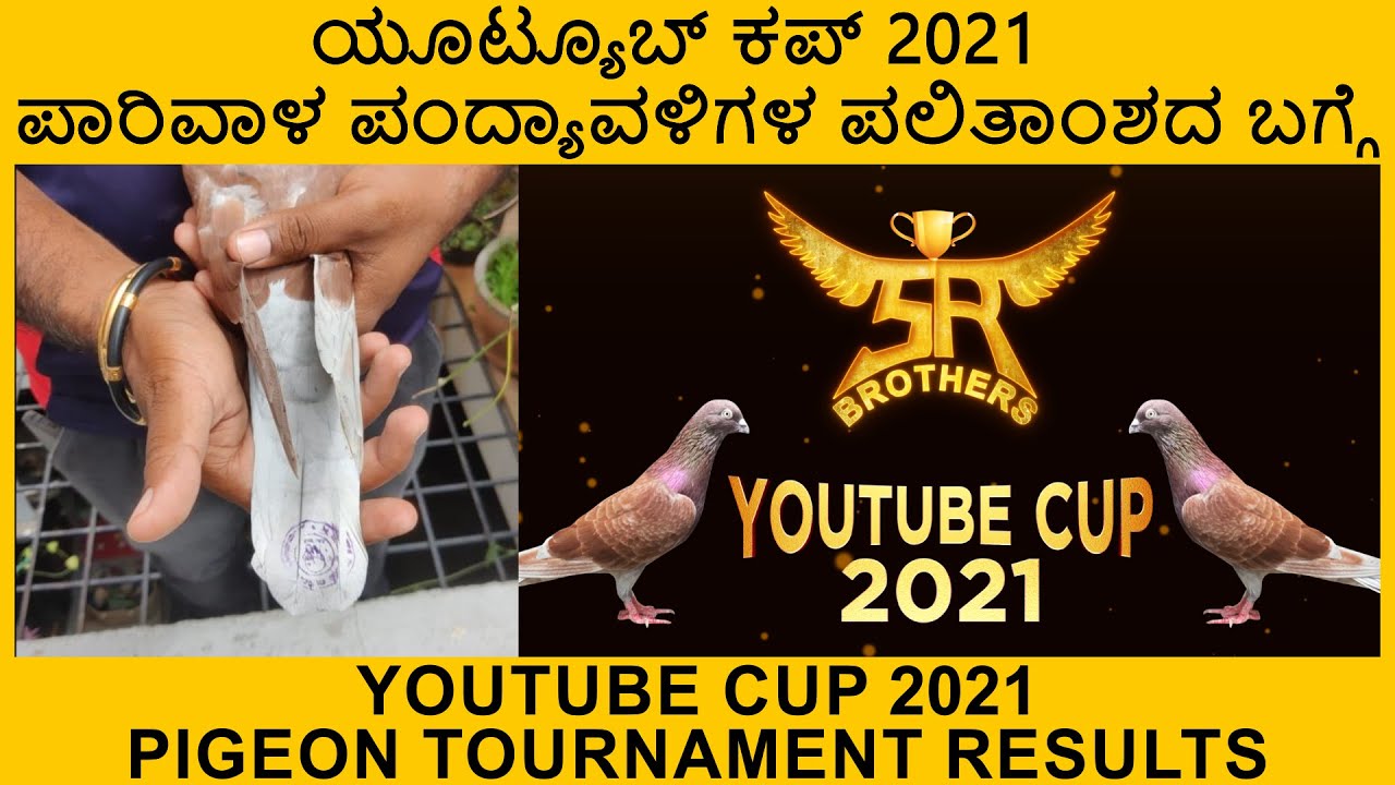 ಯೂಟ್ಯೂಬ್ ಕಪ್ 2021 ಪಾರಿವಾಳ ಪಂದ್ಯಾವಳಿಗಳ ಪಲಿತಾಂಶದ ಬಗ್ಗೆ | YouTube cup 2021 pigeon tournament results