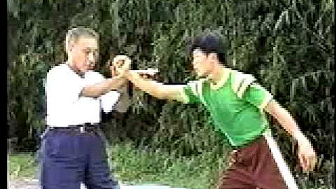 Tai Chi Master Fu Wing-fei: Applications