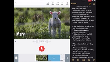 Adobe Spark Video: Basics for Elementary Students