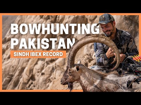 BOWHUNTING WORLD RECORD SINDH IBEX IN PAKISTAN 🔥 FOLLOWING IN MY DAD'S FOOTSTEPS - HUNTING THE WORLD