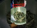 দেশি নদীর গুলশা মাছের দাম জানুন। #subscribe #shots #like #share #shortvideo #fish #fishing #fishlove