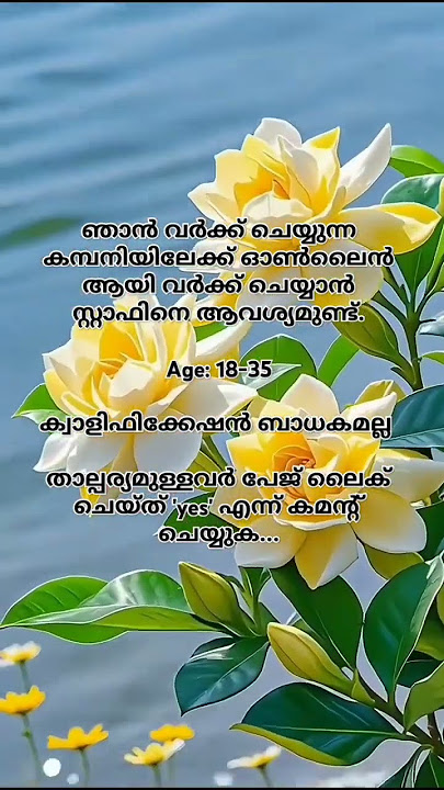 my whatsapp no👉8089072313 #malayalam #songstatus #keralajobs #youtubeshorts #motivation