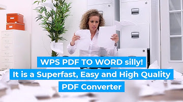 WPS PDF to Word Converter