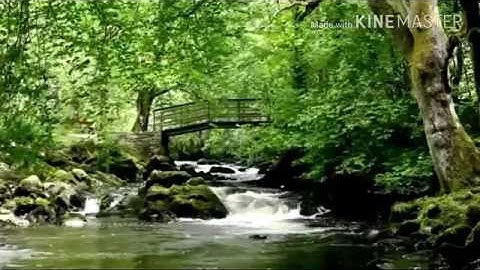 سورة الرحمن بمقام بيات للقارئ_ فاروق بن نور الحق