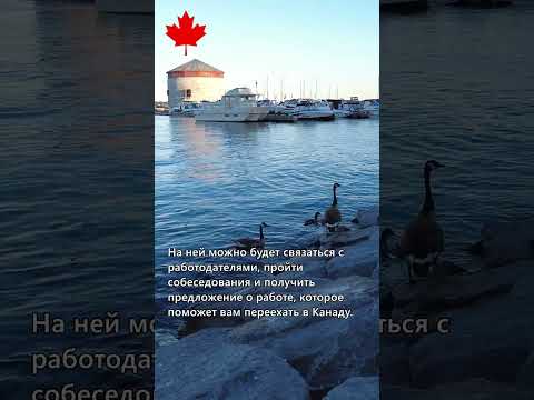 Ярмарка вакансий в