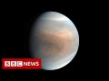 Is there life floating in the clouds of Venus? - BBC News