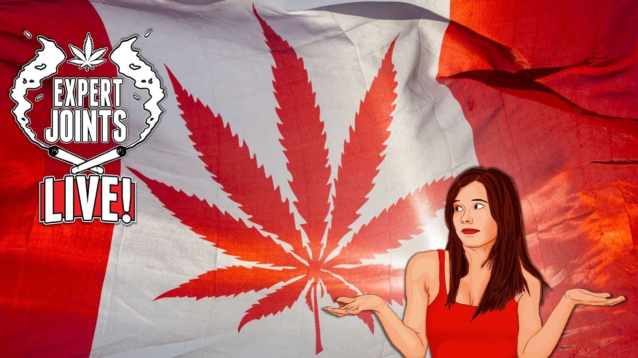 Expert Joints LIVE on Pot TV - So Now What