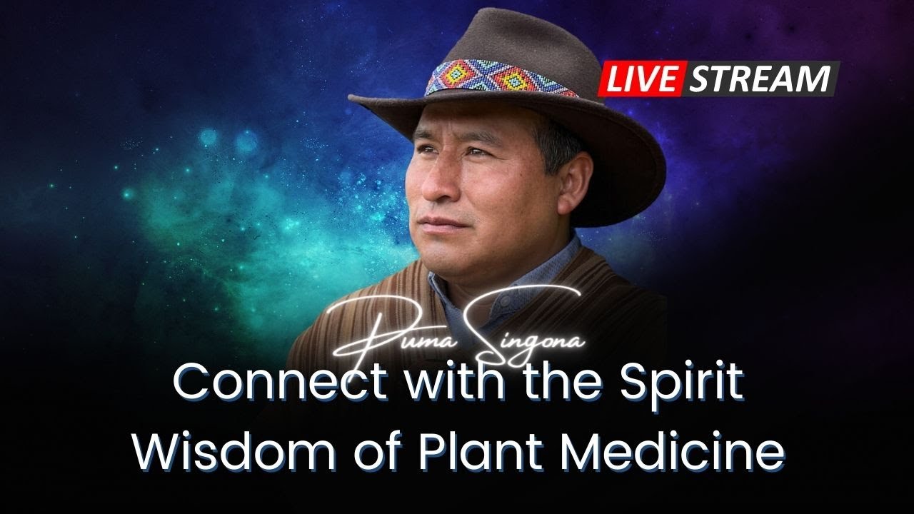Connect with the Spirit Wisdom of Plant Medicine - YouTube