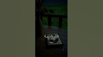 تلاوه خاشعه للشيخ ياسر الدوسري #اكسبلور