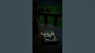 تلاوه خاشعه للشيخ ياسر الدوسري #اكسبلور