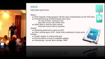 On the Role of Flash in Large-Scale Storage Systems