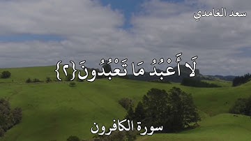 سورة الكافرون القارئ سعد الغامدي