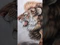 国画 ,字画收藏...