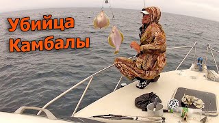 Рыбалка на донку. Ловля камбалы на спиннинг с катера!