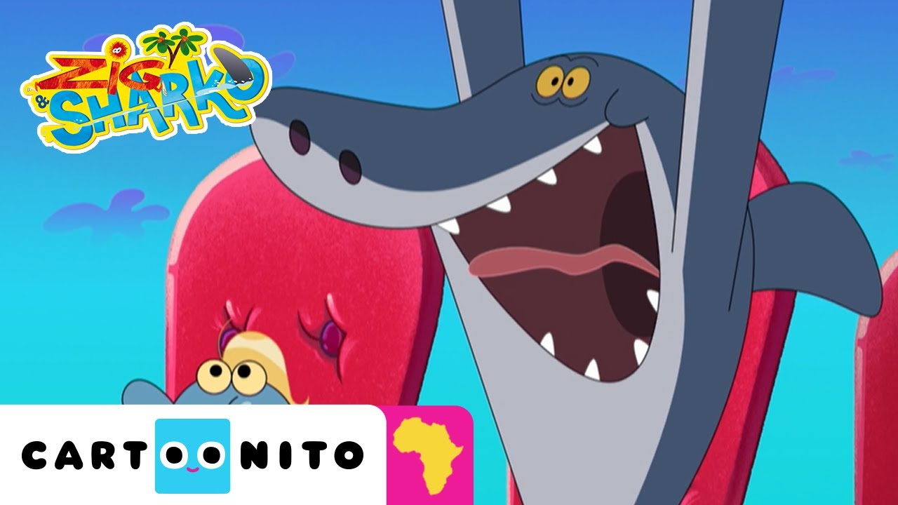 Talent Show | Zig & Sharko | Cartoonito Africa