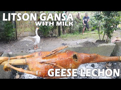 Video: Paano Magluto Ng Isang Makatas Na Gansa