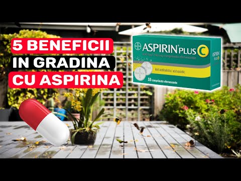 Video: Utilizarea aspirinei pe plante: aspirina în grădinile de legume și altele