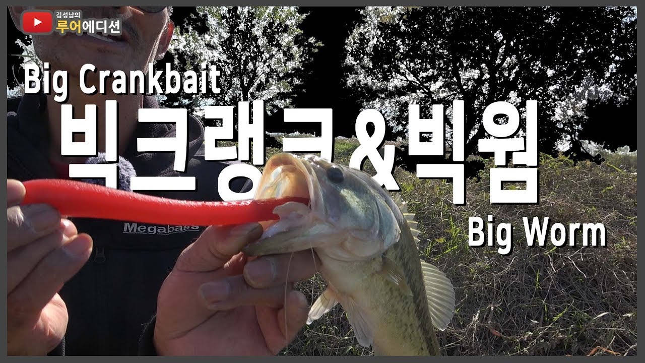 [Bass Fishing 루어에디션#82] 빅크랭크와 빅웜! 꼭 한번 잡아보겠습니다~(LUNKER MEGABASS staff)