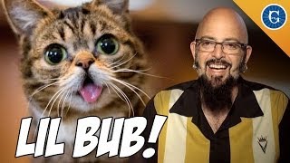 InternetFamous Cat, Lil BUB chats with Jackson Galaxy!