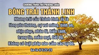 HTTL TÂN PHÚ - Chương trình thờ phượng Chúa - 17/05/2020