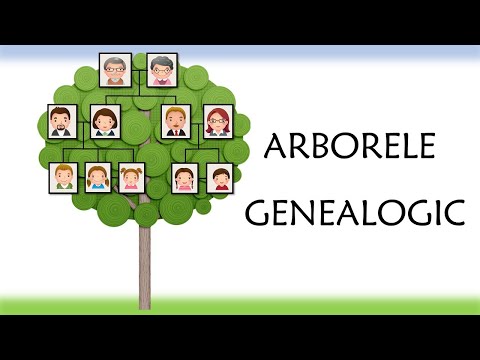 Video: Cum Se Face Un Arbore Genealogic