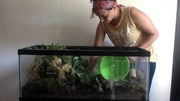 Bioactive Mouse Tank