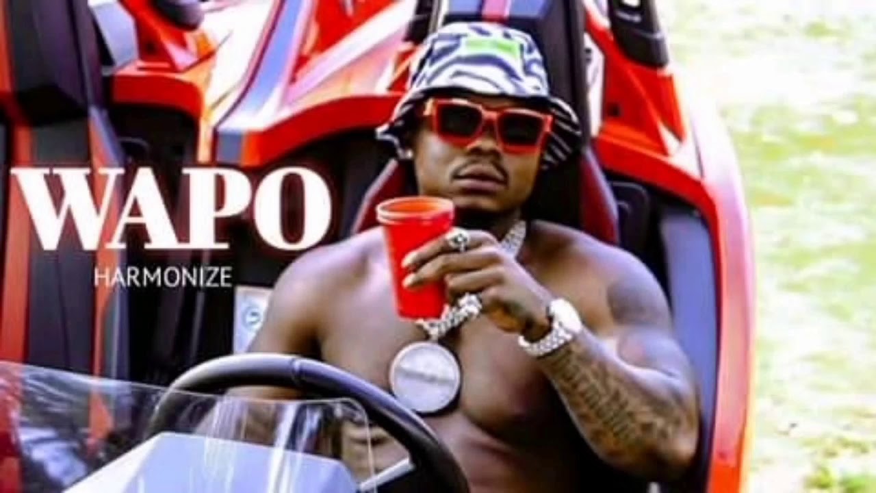 Harmonize - wapo( official music video)