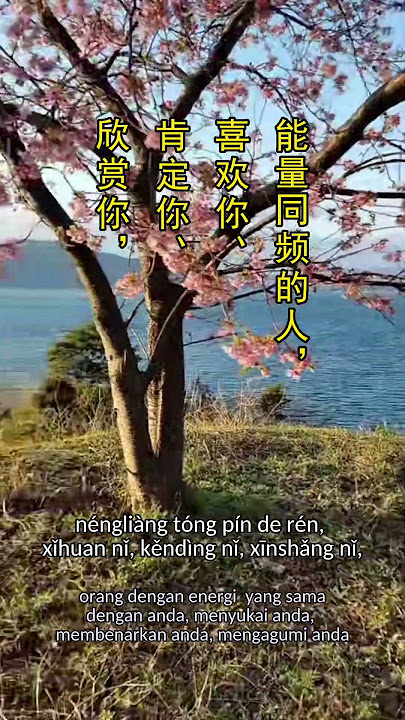 story WA - kata bijak mandarin