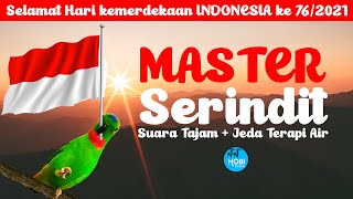 MASTER SERINDIT VARIASI TAJAM + Jeda Terapi Air