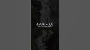 ارح سمعك وقلبك بهذة التلاوة الخاشعة 😴🤍|حالات واتس اب قران ☁❤️| ستوريات قران 🌧️💚| القارئ هزاع البلوشي