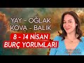 Yay  olak  kova  balk  8  14 nisan bur yorumlar  astroloji gurusu