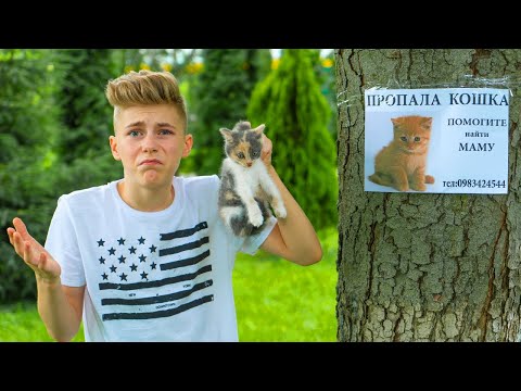 Видео: Нашли блохастого, голодного КОТЁНКА.We save the homeless hungry KITTEN.