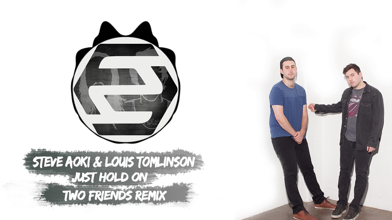 Steve Aoki & Louis Tomlinson - Just Hold On (DVBBS Remix) [Cover