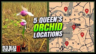 RDR2: Queen's Orchid Locations - FAST & EASY Guide (Duchesses & Other Animals Guide)