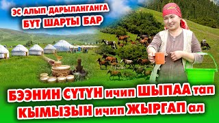 СААМАЛ ичип, ДЕН-СООЛУКТУ караңыз ~ СЕЗОН башталды ~ Ысык ТАМАК, таттуу КАЙМАК да берилет ~ КООЗ ЖЕР