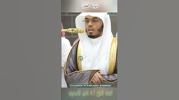 تلاوة خاشعة 🕊 سورة الحشر 🕊 لفضيلة الشيخ أ.د ياسر الدوسري