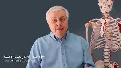 How To Find Trigger Points - Can You Really Feel Them?