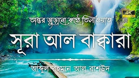 সূরা আল বাকারা এর অত্যন্ত দরদী কন্ঠে তিলাওয়াত | Surah Al Baqarah Recited by Abdul Rahman Al Rashoud