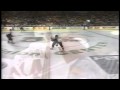 Brendan shanahan vs luke richardson 032199