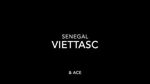 SwiftUI - Working with UI Controls - Section 3: Define the Profile Editor (Xcode 11)