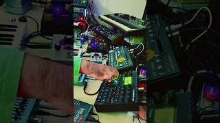 Elektron Digitakt + Jomox Mbase + Quasimidi Sirius + Behringer Model 15 &amp; TD-3