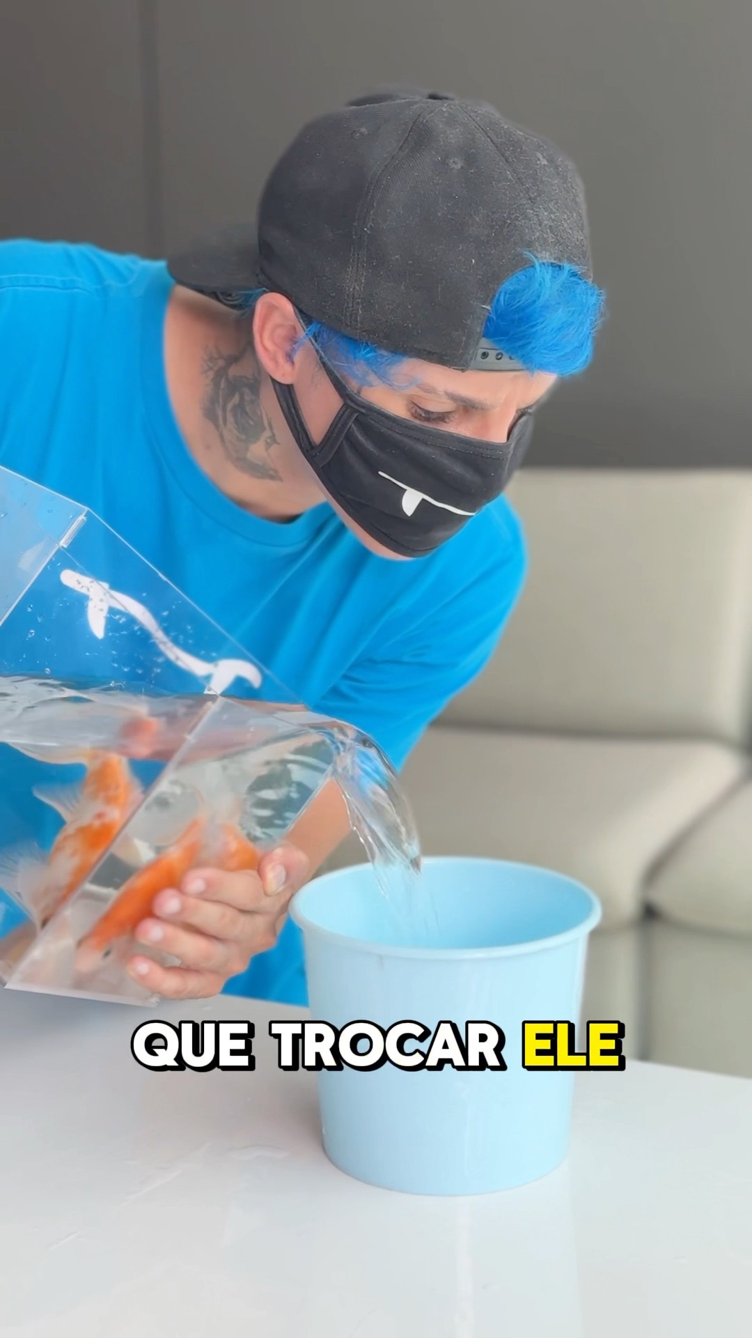 Roubaram meu Peixe ??